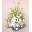 北海道士別市千草生花店の花　OA120-F